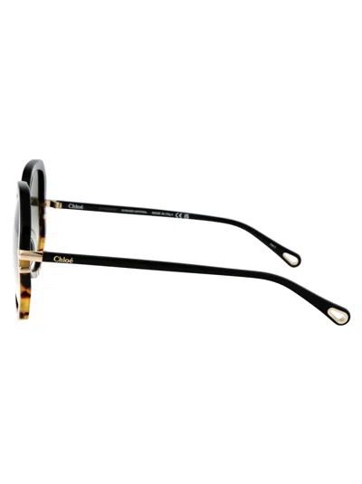 Chloé Chloe Womens Black Ch0105s Hexagonal-frame Acetate Sunglasses In Multi