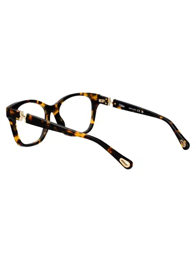 Chloé Ch0334o Glasses In Brown