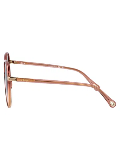 Chloé Chloe Squared Sunglasses Ch0031 S 021