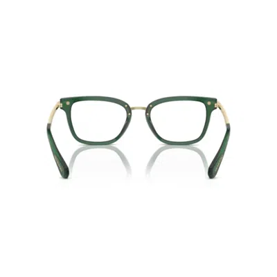 Swarovski 2018 Vista1045 In Green