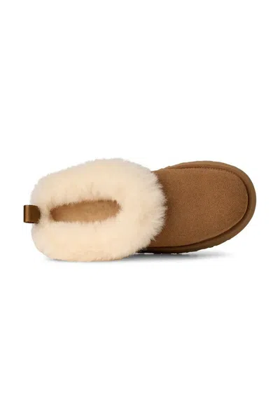 Ugg Tazzelle Logo Patch Slippers In Brown