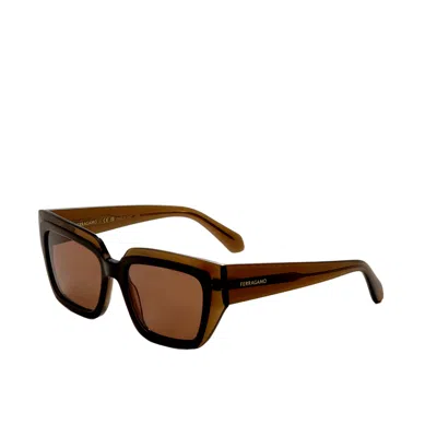 Ferragamo Unisex Transparent Brown 55mm Sunglasses In Brown
