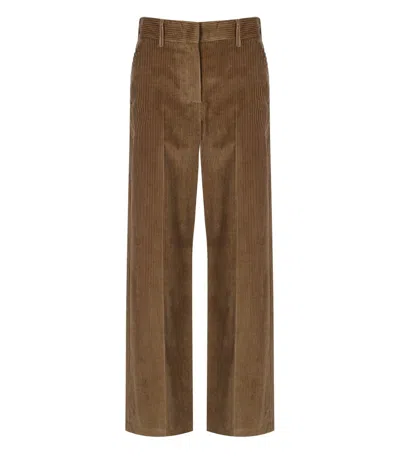 Max Mara Tania Brown Pants In Brown