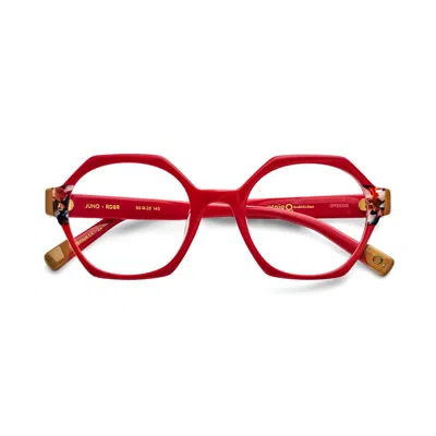 Etnia Barcelona Juno 50ordbr In Brown