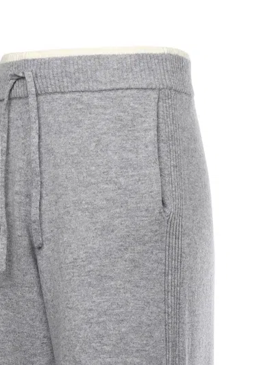 Pinko Veraguas Wool And Cashmere Pants In Gray