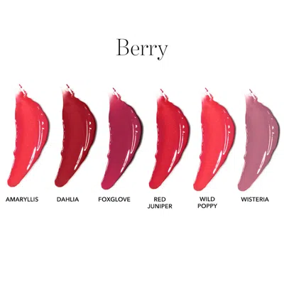 Chantecaille Lip Chic Lipstick In Red