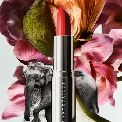 Chantecaille Lip Crème In Multi