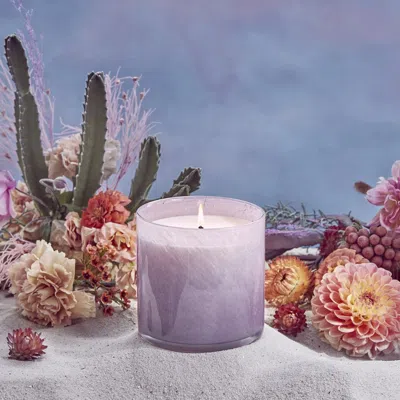 Lafco Midnight Cactus Candle In Transparent