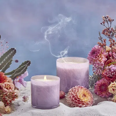 Lafco Midnight Cactus Candle In Transparent