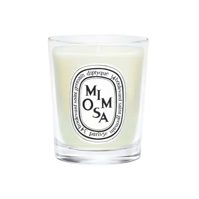 Diptyque Mimosa Candle In Transparent