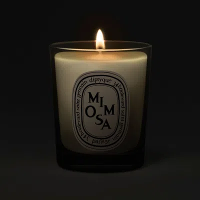 Diptyque Mimosa Candle In Transparent