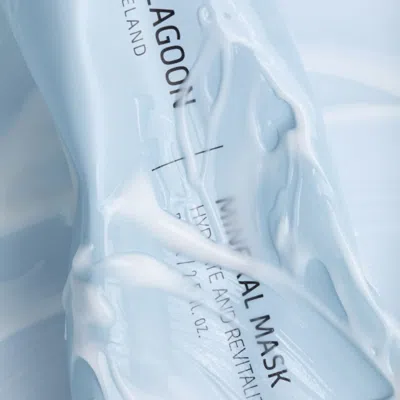Blue Lagoon Skincare Mineral Mask