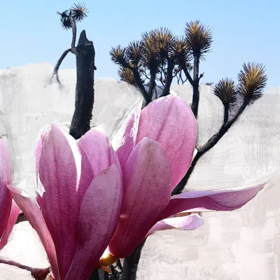 Byredo Mojave Ghost Body Wash