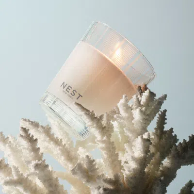 Nest Ocean Mist & Sea Salt Candle In Transparent