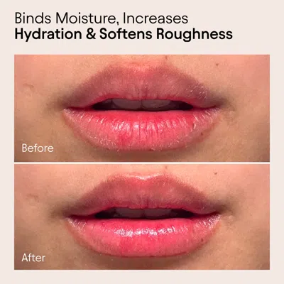 Alpyn Beauty Plumping And Softening Sweet Agave Lip Balm Treatment In Transparent