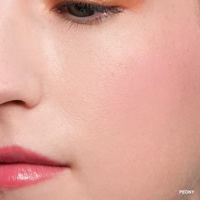 Bobbi Brown Pot Rouge Velvet Matte Cream Blush For Cheeks & Lips