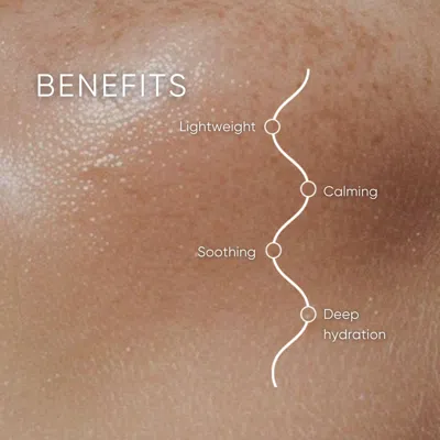 Plantkos Replenishing Essence In Brown