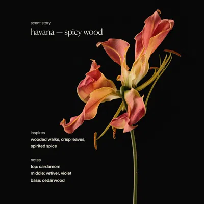 Evolvetogether Restorative Hand Wash Havana