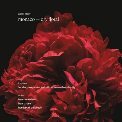 Evolvetogether Restorative Hand Wash Monaco In Green