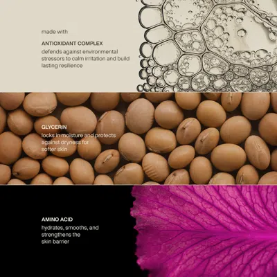 Evolvetogether Restorative Hand Wash Monaco In Green