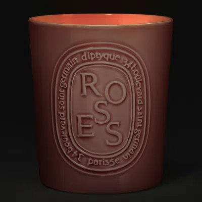 Diptyque Roses Candle In Pink