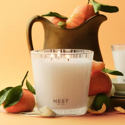 Nest Sicilian Tangerine Candle In White