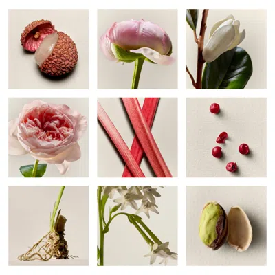 U Beauty The Fragrance Set (limited Edition)