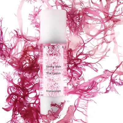 Chantecaille Vital Essence Face And Eye Serum