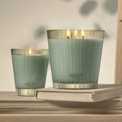 Nest Wild Mint & Eucalyptus Candle