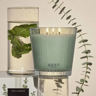 Nest Wild Mint & Eucalyptus Candle