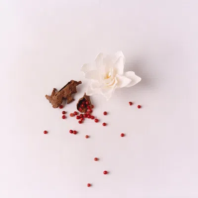 Liberty Lbty. Woody Eau De Parfum Discovery Set