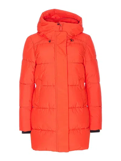 Save The Duck Chaqueta Alcochada - Rojo In Animal Print