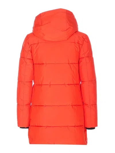 Save The Duck Chaqueta Alcochada - Rojo In Animal Print