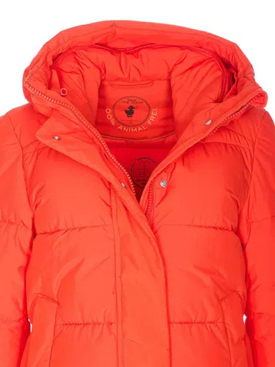 Save The Duck Chaqueta Alcochada - Rojo In Animal Print