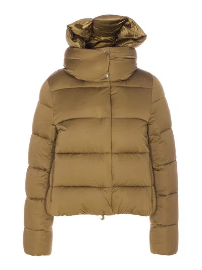 Save The Duck Felicity Removable-hood Padded Jacket In Multi