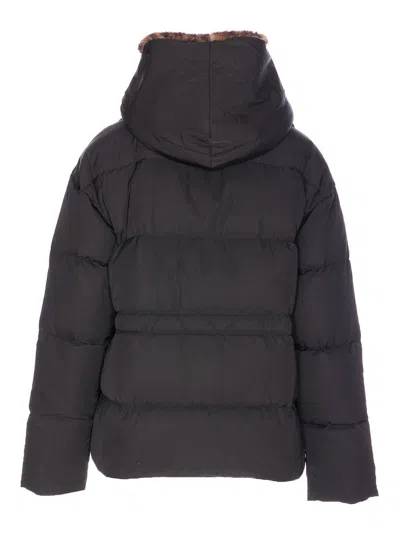 Lou Andrea Removable Hood Padded Jacket In Black