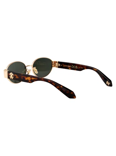 Roberto Cavalli Sunglasses