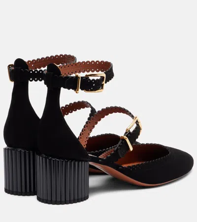 Zimmermann Eddie 55 Suede Pumps In Black