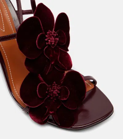 Zimmermann Orchid 85 Floral-appliqué Velvet Sandals In Black