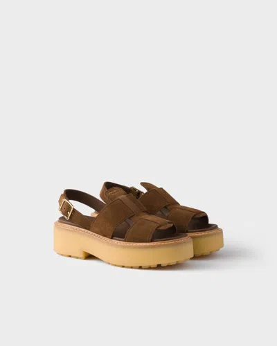 Prada Suede Sandals In Brown
