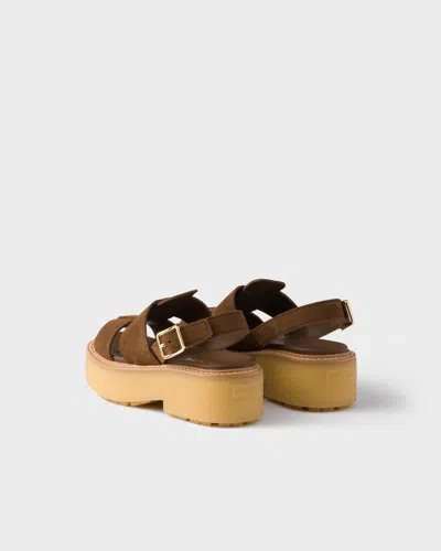 Prada Suede Sandals In Brown