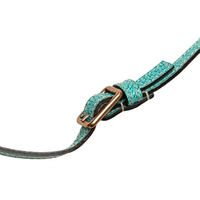 Pre-owned Gucci Gg Canvas Blue Brown Gg Canvas Shoulder Bag () In Multi