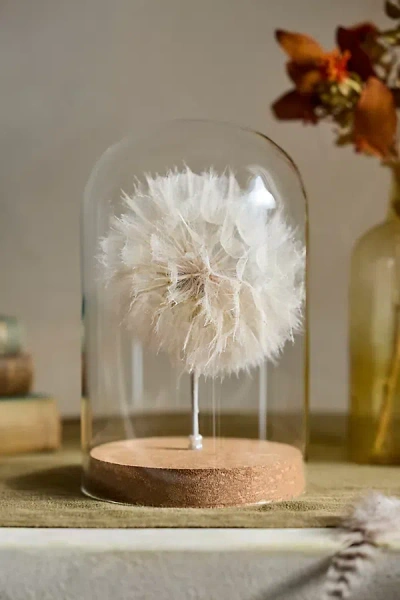 Terrain Preserved Dandelion Cloche