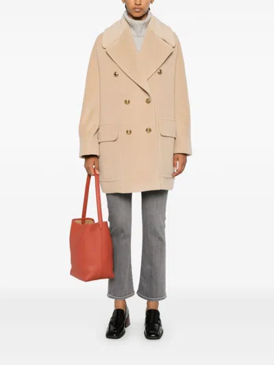 Tagliatore Jackets In Neutral