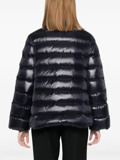 Fay Navy Blue Padded Quilted Jacket In Black