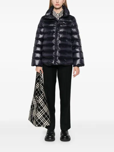 Fay Navy Blue Padded Quilted Jacket In Black