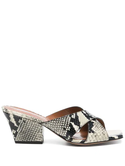 Paris Texas Arizona Snake-embossed Leather Mule Sandals In Multi