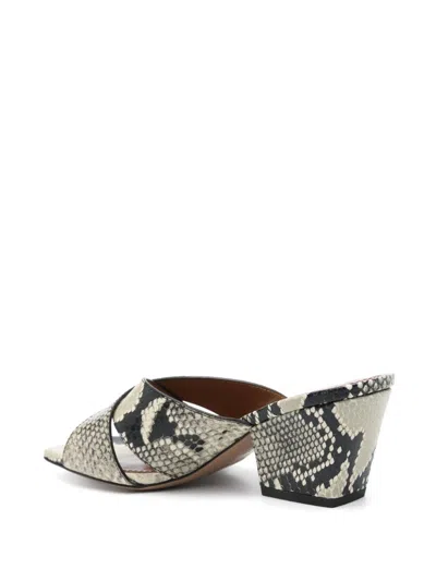 Paris Texas Arizona Snake-embossed Leather Mule Sandals In Multi