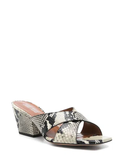 Paris Texas Arizona Snake-embossed Leather Mule Sandals In Multi