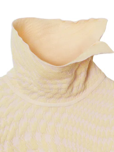 Burberry Sweaters Cameo Ip Pattern In Neutral